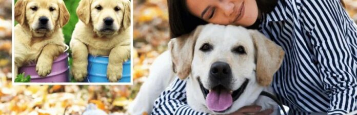 695bd11dee90f581143204_695c1d8942213