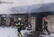 Павлоградський район: вогнеборці ліквідували загорання на території приватного домоволодіння