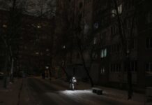 До Києва з Польщі їде 400 генераторів – посол