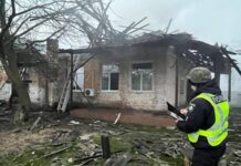 Армія РФ атакувала «Геранями» Чернігівщину, загорівся агар із зерном – влада