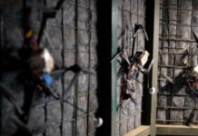 Сирський заявив про «ривок» у напрямку безпілотних систем за підсумками 2025 року