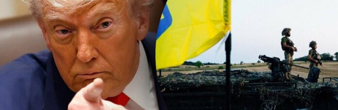 image-1_695837c4a9fb7