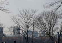 У Кам’янському 3 січня прогнозують дощ і сильний сніг