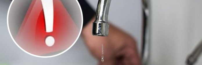 izobrazenie2026-01-27191701446_6978f30ea08fd