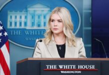 Переговори США з Данією і Гренландією відбуватимуться раз на два-три тижні