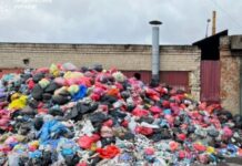 Мільйонні збитки довкіллю за порушення екологічних норм: посадовцю підприємства у Запоріжжі повідомлено про підозру