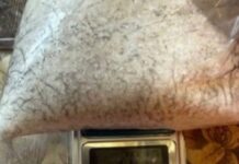 Налагодили у Дніпрі масштабну схему збуту наркотиків: слідчі направили до суду обвинувальний акт стосовно групи наркозбувачів