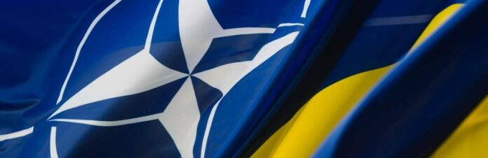 news1735284530676e5732042d5_696549f0bdc7f