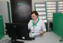 Авто “з гумором і характером”: найцікавіші індивідуальні номери українців у 2025 році