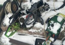 На Дніпропетровщині оперативники карного розшуку викрили організовану злочинну групу, причетну до масштабної вирубки лісу