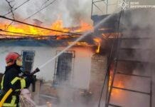 У Нікопольському районі під час пожежі надзвичайники виявили жінку без ознак життя