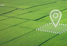 На Дніпропетровщині прокуратура повернула державі земельну ділянку природно-заповідного фонду