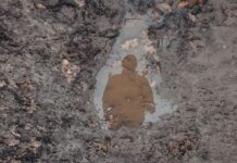 На полі бою в Україні загинув австралійський доброволець, – ЗМІ