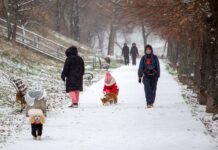 Мороз до -14, сніг та ожеледиця: якою буде погода в Україні сьогодні