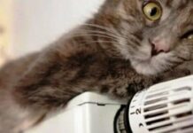 Січневе випробування: як зберегти тепло, коли за вікном лютий мінус