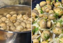 Ці мариновані гриби зникають зі столу першими: готуються всього 10 хв