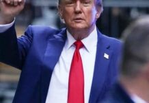 Зеленському радять не зволікати: Трамп заявив, що росія готова до укладення мирної угоди