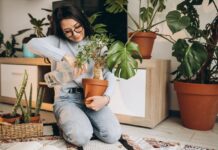 Зупиніть плісняву. 7 кімнатних рослин-“рятівників”, які поглинають вологу