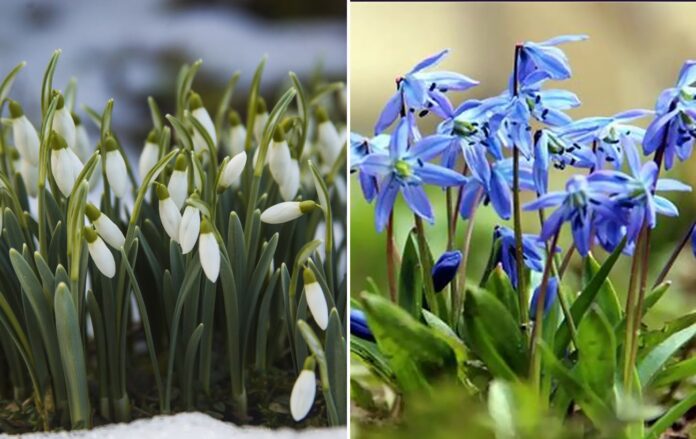 _2_caf62803653e79d08fc5d4a3a232ab5e_1300x820