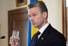 Міністр оборони Швеції підтвердив, що дрон, який збили біля французького авіаносця – російський