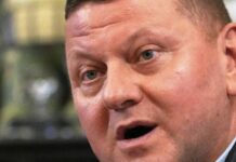 “Час змінювати стратегію”: Залужний пояснив, чому традиційна мобілізація більше не ефективна