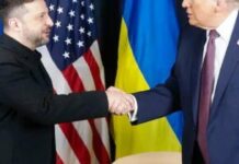 Телефонна розмова лідерів: Трамп і Зеленський розраховують завершити війну найближчими місяцями