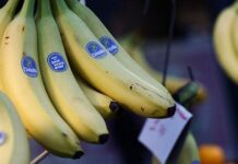 Банани для травлення та імунітету: як звичайний фрукт замінює дорогі вітаміни