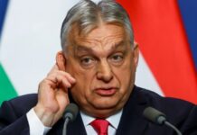 Орбан записав відеозвернення до Зеленського із закликом запустити «Дружбу»