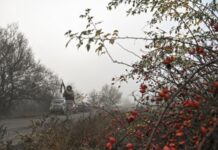 ISW: у Росії кажуть про «контрнаступ» ЗСУ на Запоріжжі, щоб пояснити попередні заяви про власне просування