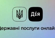 В Україні стартував тест податкових декларацій онлайн через “Дію”