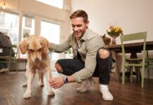 Хвіст виляє – не завжди радість: 10 сигналів собаки, які ви читаєте неправильно