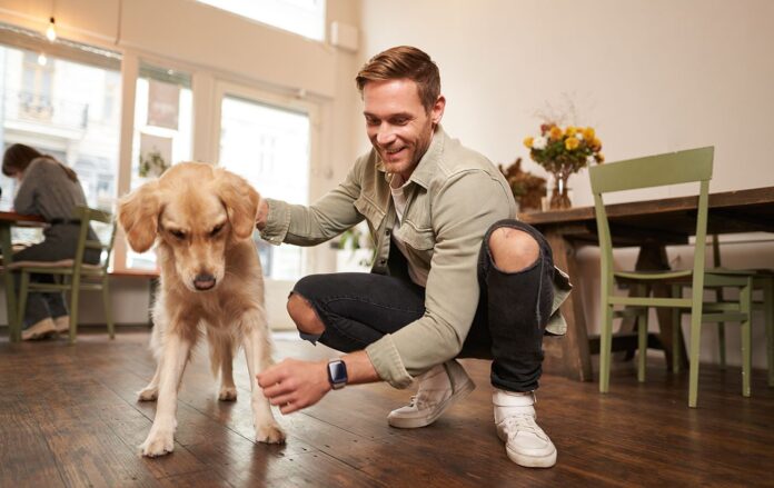 freepik_com3_9b9e9ad0186c277123e7e52326b230fe_1300x820