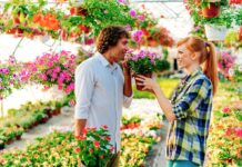 Чому не можна дарувати вазони та саджанці: народна прикмета, про яку попереджали бабусі