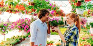 Чому не можна дарувати вазони та саджанці: народна прикмета, про яку попереджали бабусі