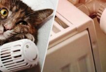 У Раді схвалили закон про опалення по-новому: як тепер планують гріти країну