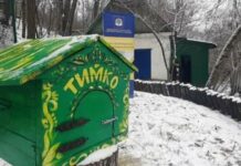 Весна за розкладом чи пізнє тепло: що напророкував Тимко IV 2 лютого