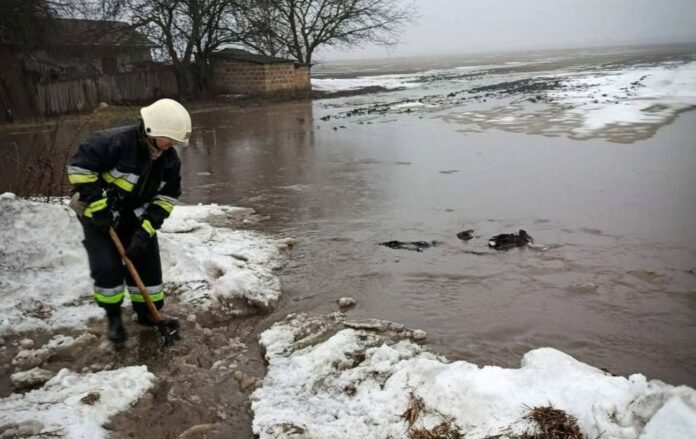 imgonline_com_ua_resize_zuikiufe8ilgqkl_c3671d6e4dbd9ff9ff824a401ab45459_1300x820