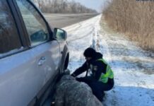 У Кривому Розі патрульні допомогли чоловіку, який опинився в скрутній ситуації