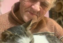 Поліцейські Павлограда продовжують пошук 77-річного Володимира Косаригіна