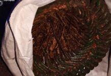 Спроба викрадення майна з території держпідприємства: п’ятьом мешканцям Запоріжжя повідомлено про підозру