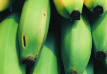 Споживачі в супермаркетах виявили 5 ознак неякісних бананів