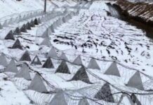 Сотні кілометрів захисту: Le Monde розкрило деталі будівництва стратегічних укріплень на Дніпропетровщині