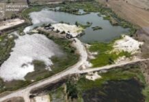 290 млн грн збитків довкіллю: у Дніпрі судитимуть директора підприємства за незаконний видобуток і реалізацію піску