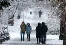 Київ та захід засипле снігом: синоптики попередили про небезпеку 15 лютого (карта)