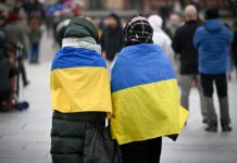 Від заробітчан до підприємців: скільки українців відкрили свій бізнес у Польщі в 2025-му