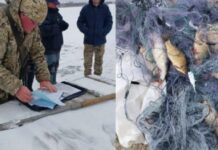 За тиждень браконьєри Дніпропетровщини завдали довкіллю 200 тис. гривень збитків