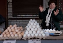 Ціни знову шокують? Скільки коштують яйця в Україні і чого чекати далі