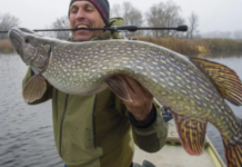 На водоймах Дніпропетровщини стартує заборона на вилов щуки