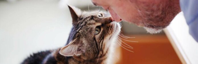 talking-to-cat-feature-compressed-1_69810d6569860