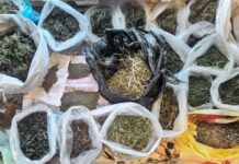 У Нікополі поліцейські викрили місцевого жителя на незаконному зберіганні наркотиків